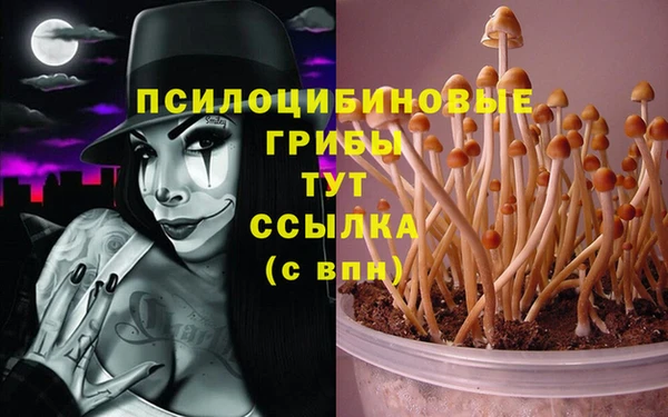 прущие крисы Снежногорск