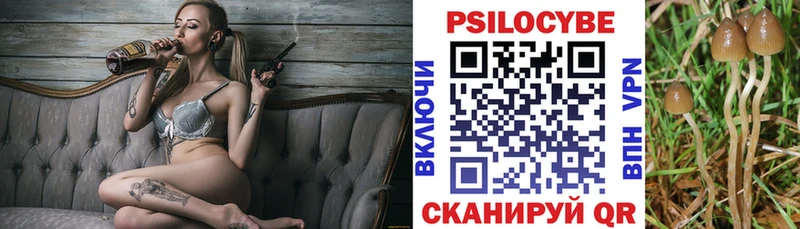 Псилоцибиновые грибы ЛСД Макарьев